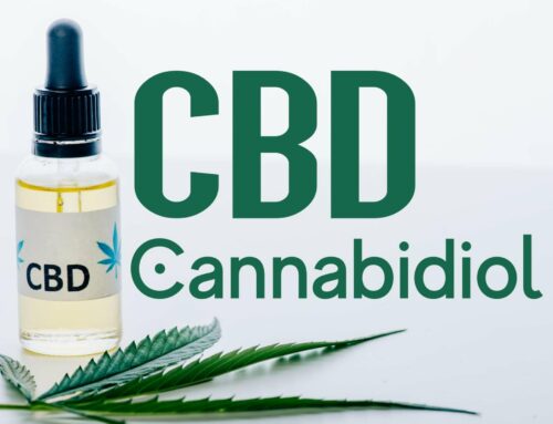 Bien-être et CBD : 5 résolutions naturelles pour une année épanouie à La Farlède et ses environs